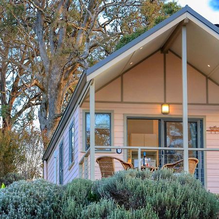Grace Cottages Uralla المظهر الخارجي الصورة