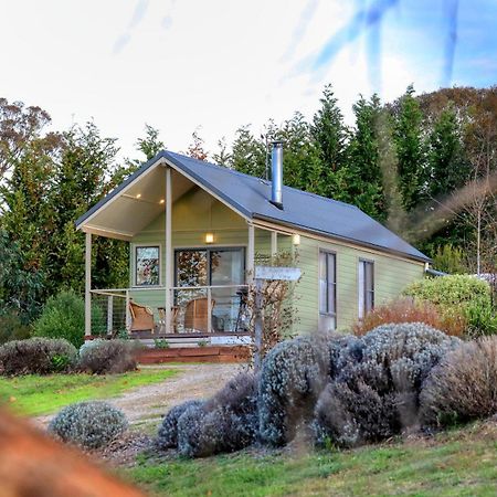 Grace Cottages Uralla المظهر الخارجي الصورة
