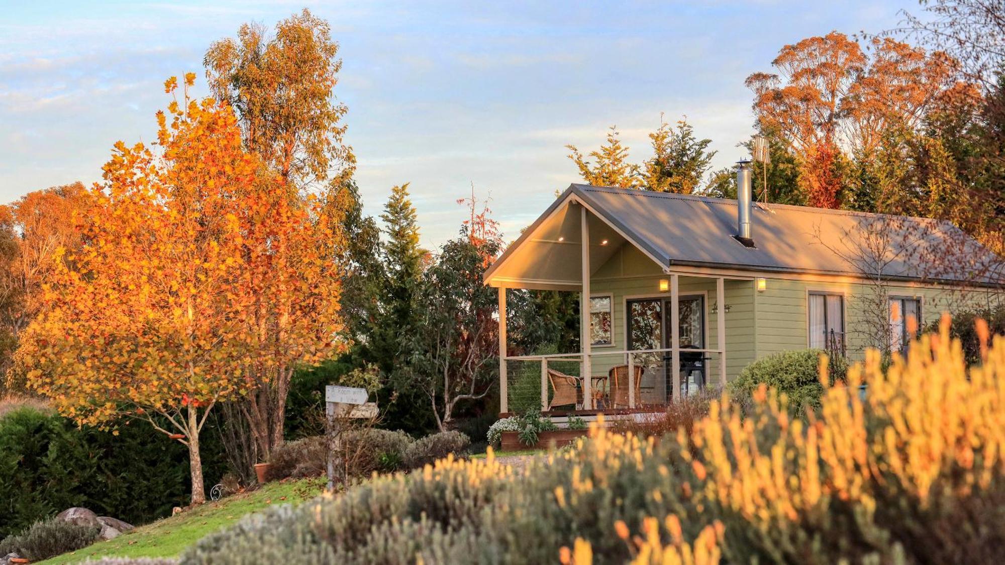 Grace Cottages Uralla المظهر الخارجي الصورة